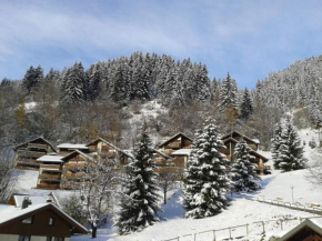 La Plagne/Champagny Studio